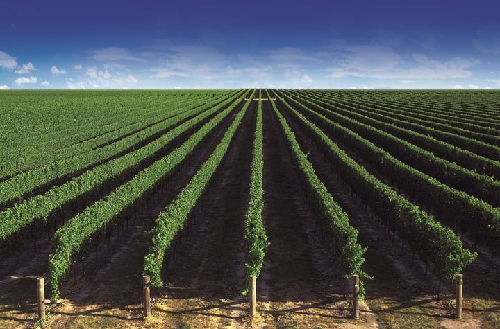 HOW TO AVOID THE TORQUE PEAKS IN THE SPRAYER’S TRANSMISSION? DIAPHRAGM PUMPS AS POWER DRIVE